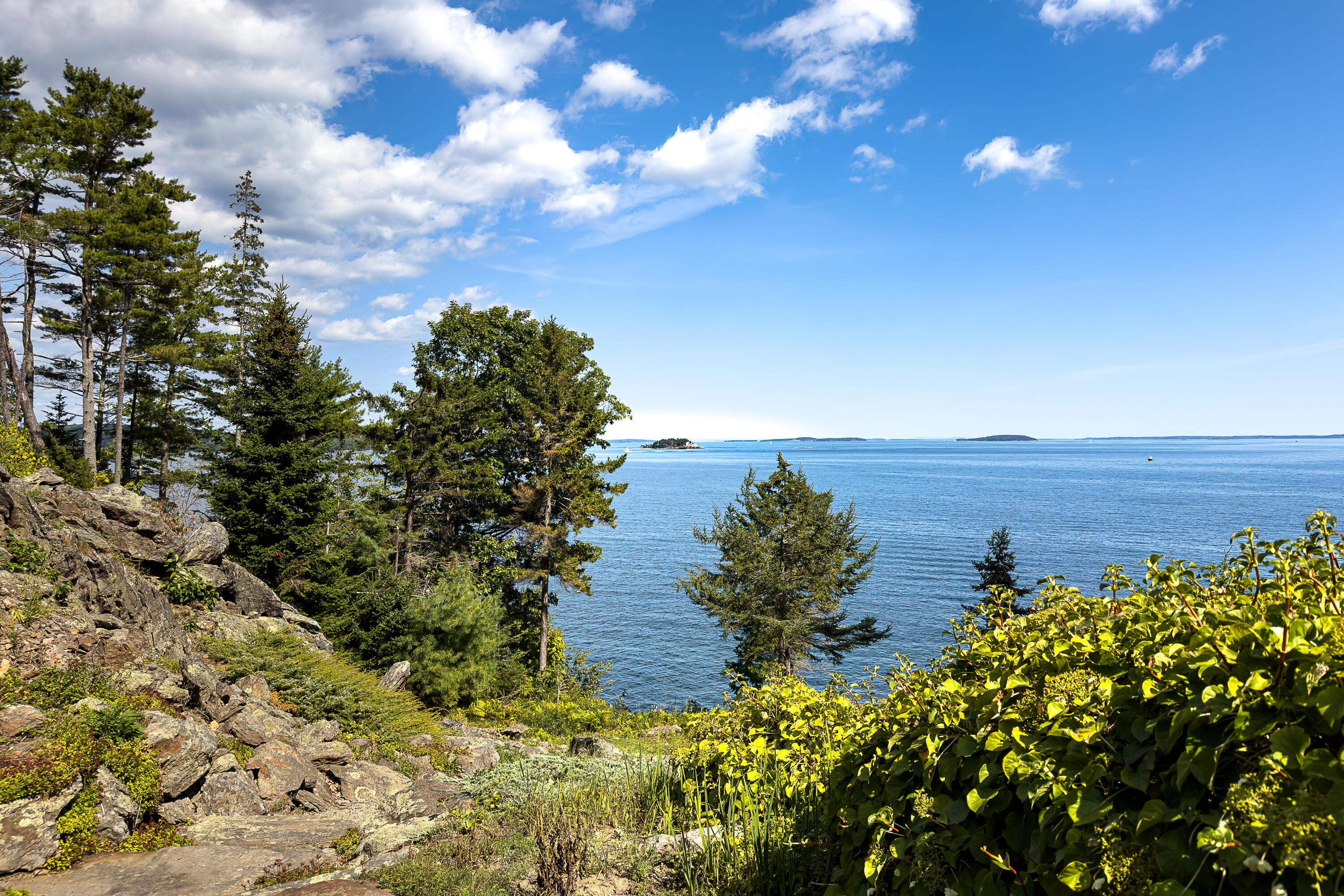 36 Roxmont Road Rockport, ME 04856 - Photo 46 of 50 67_36Roxmont_2025_S_print