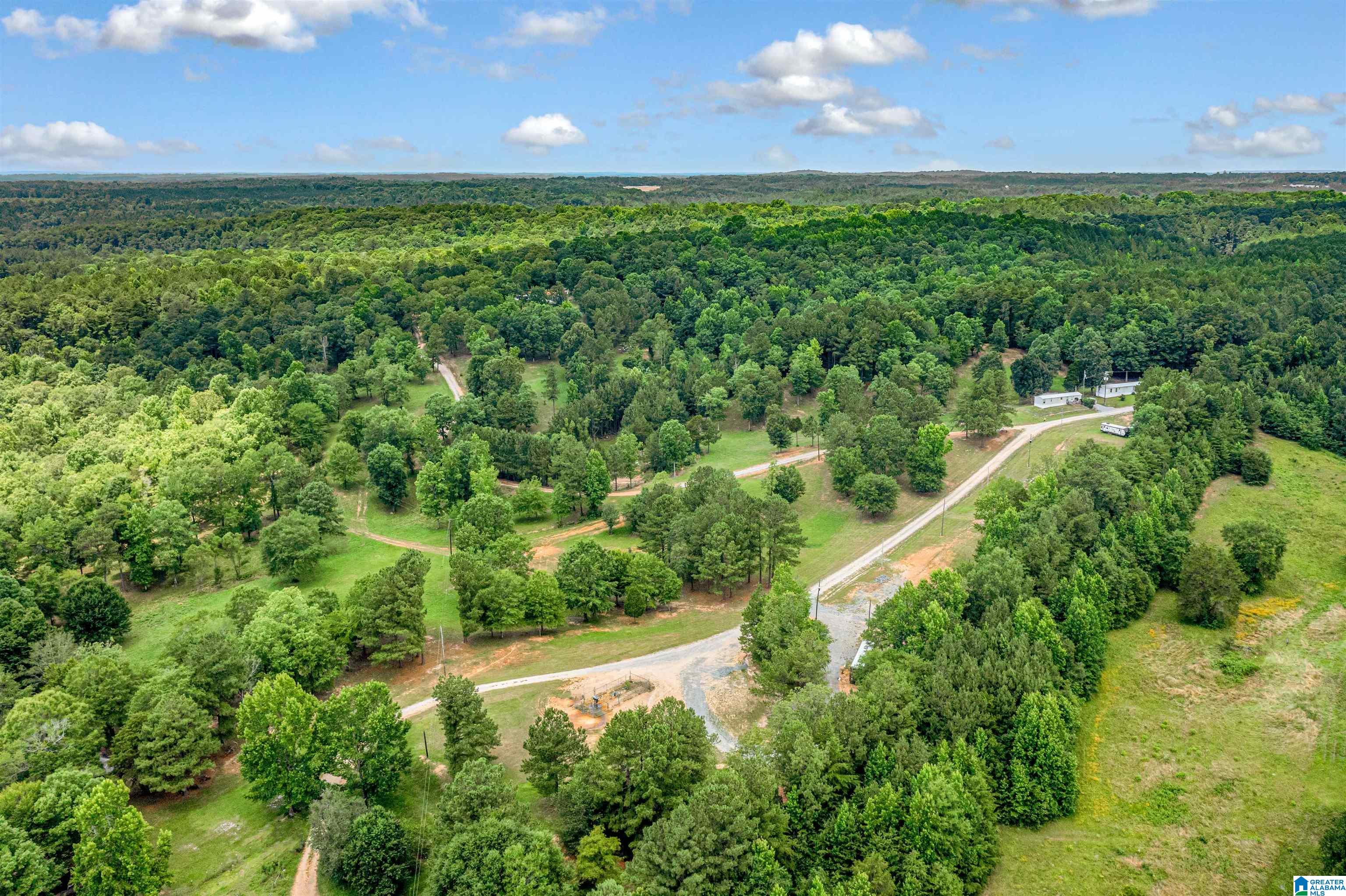 0 Hurricane Valley Road, Unit 1 Brookwood, AL 35444 - Photo 9 of 24