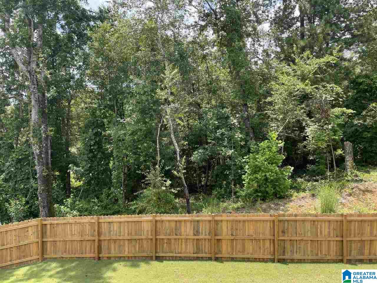 4036 Laura Lane Chelsea, AL 35043 - Photo 46 of 47