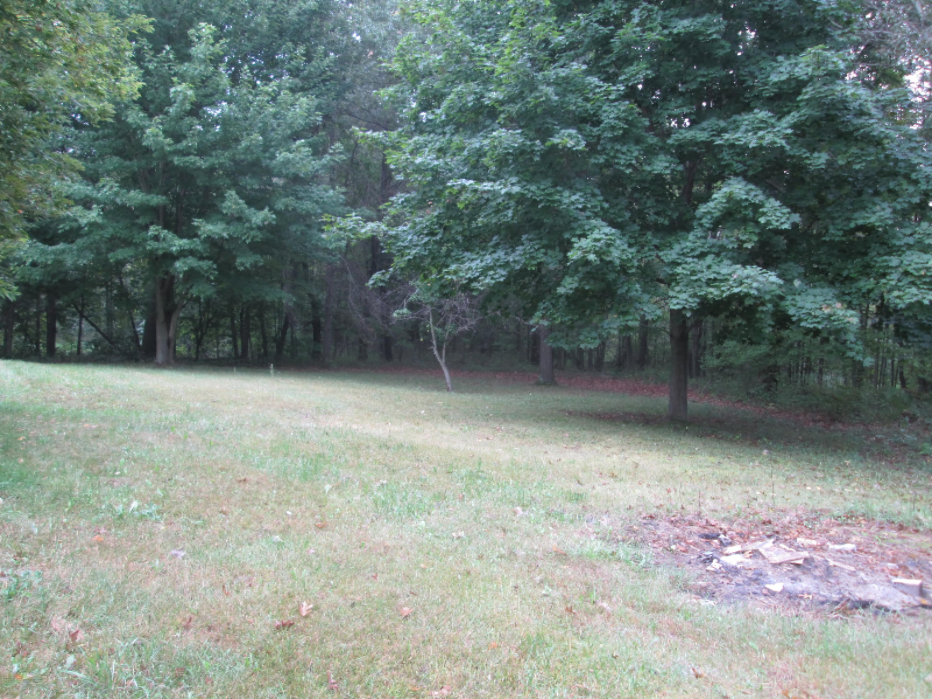7777 Fuller Road Greenville, MI 48838 - Photo 12 of 17 IMG_0429