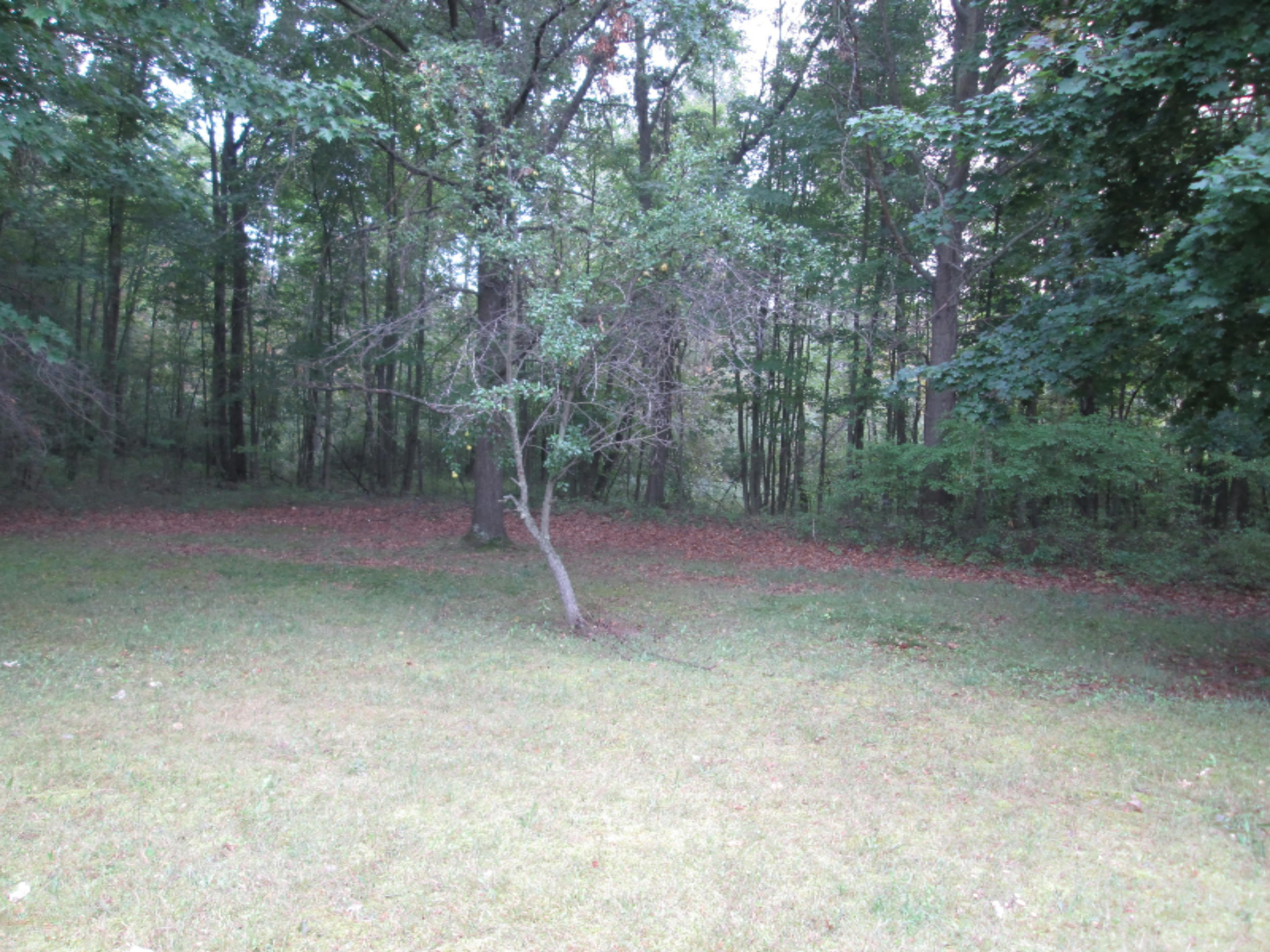 7777 Fuller Road Greenville, MI 48838 - Photo 13 of 17 IMG_0430