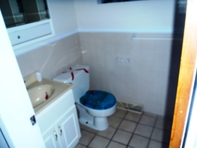 394 Olmsted Road Riverside, IL 60546 - Photo 5 of 11