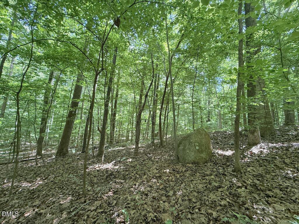 0 Buttonwood Lane Roxboro, NC 27574 - Photo 26 of 36