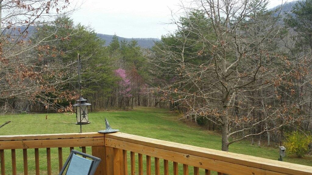 8313 Pike Road Montvale, VA 24122 - Photo 2 of 4 Deck View