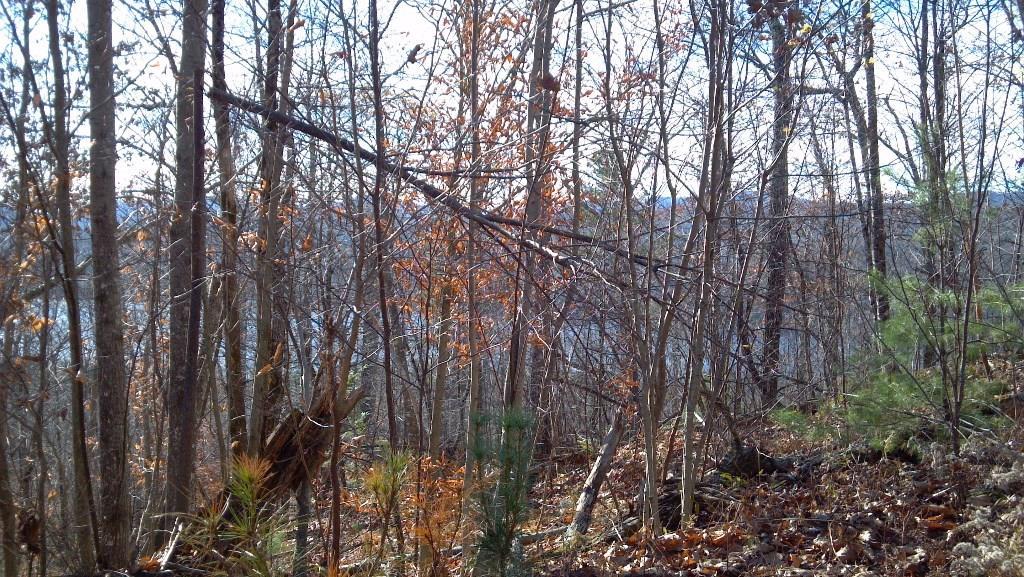 Lot 9 Rabbit Run Road Moscow, ME 04920 - Photo 2 of 8 Photo