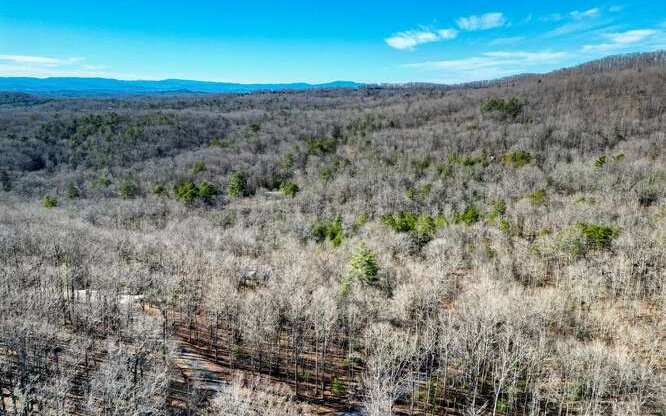 24 Turkey Scratch Road Blairsville, GA 30512 - Photo 12 of 13 Additional View