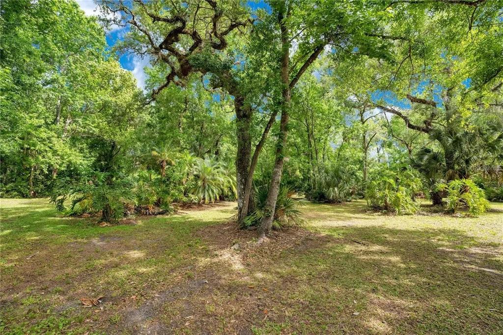 120 East Bahama Road Winter Springs, FL 32708 - Photo 34 of 37 a view of a field with trees