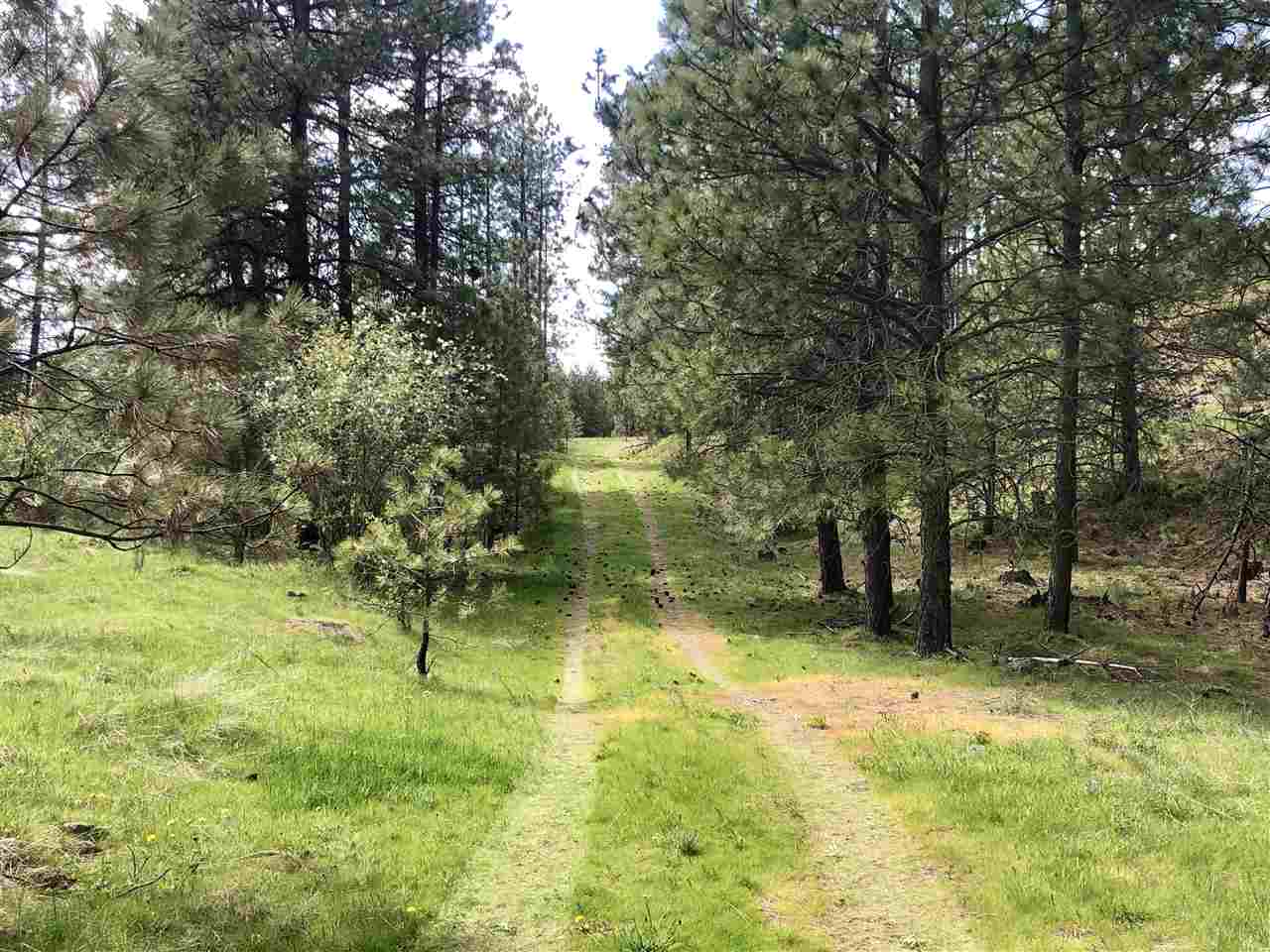 5610 West Depot Springs Road Cheney, WA 99004 - Photo 14 of 20