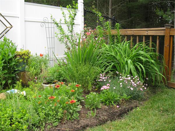 7 B Rock Marsh Road, Unit B Wareham, MA 02571 - Photo 11 of 25 Gallery Image 11
