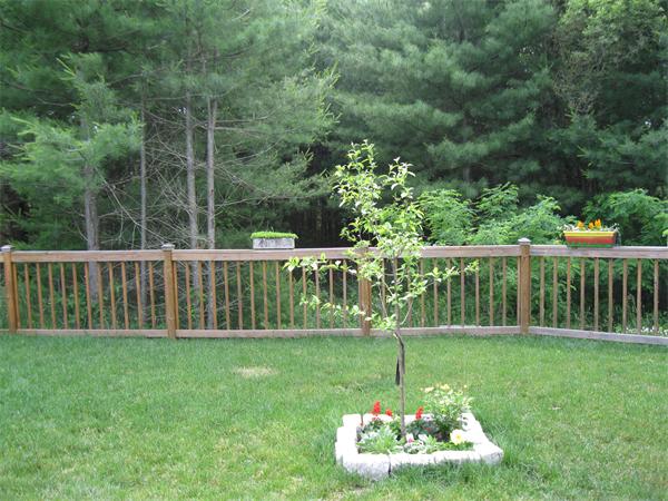 7 B Rock Marsh Road, Unit B Wareham, MA 02571 - Photo 12 of 25 Gallery Image 12