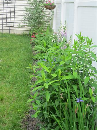 7 B Rock Marsh Road, Unit B Wareham, MA 02571 - Photo 13 of 25 Gallery Image 13