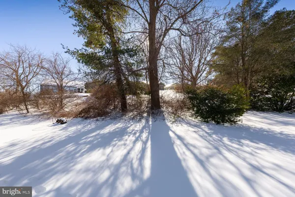 a view of a yard with trees