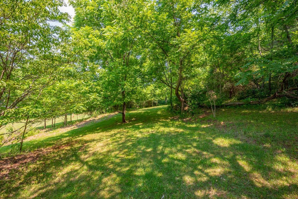 179 Sanders Mines Road Max Meadows, VA 24360 - Photo 33 of 54 Gallery Image 33
