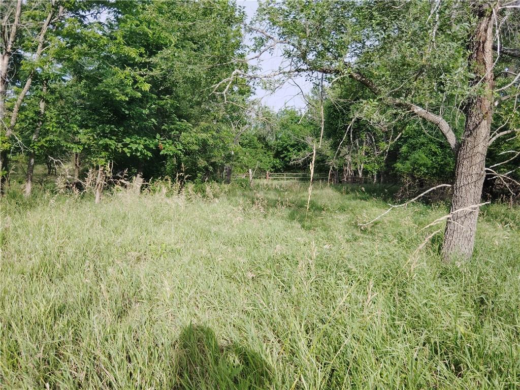 30218 Maple Grove Road Rantoul, KS 66079 - Photo 5 of 14