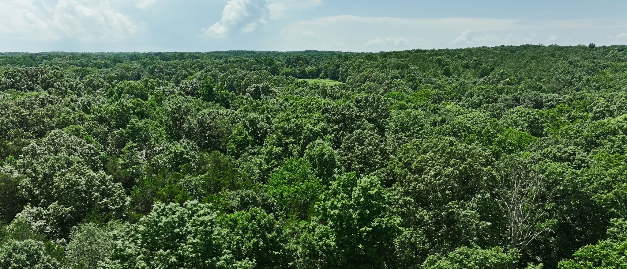 0 Barren Fork Bridge Road Bon Aqua, TN 37025 - Photo 26 of 28