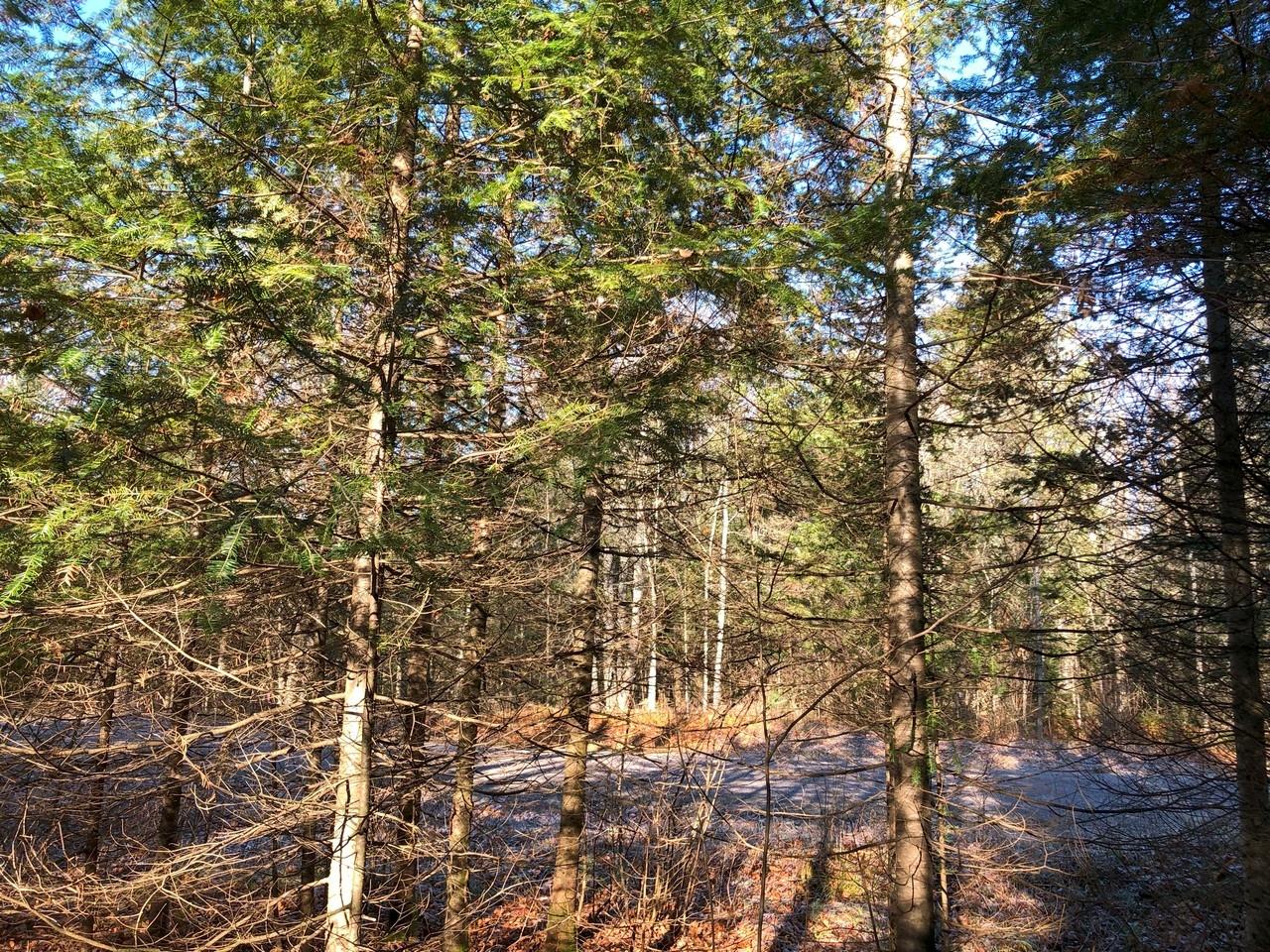 On East Bay Road, Unit LOT 2 Presque Isle, WI 54557 - Photo 16 of 21 Gallery Image 16