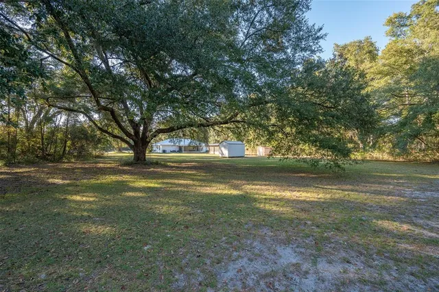 a view of dirt yard with a trees