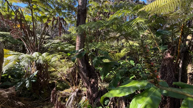 a view of front door with wooden floor and stairs