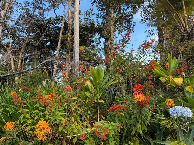 $295,000 | 113772 A Ala Ohia Street, Volcano, HI 96785