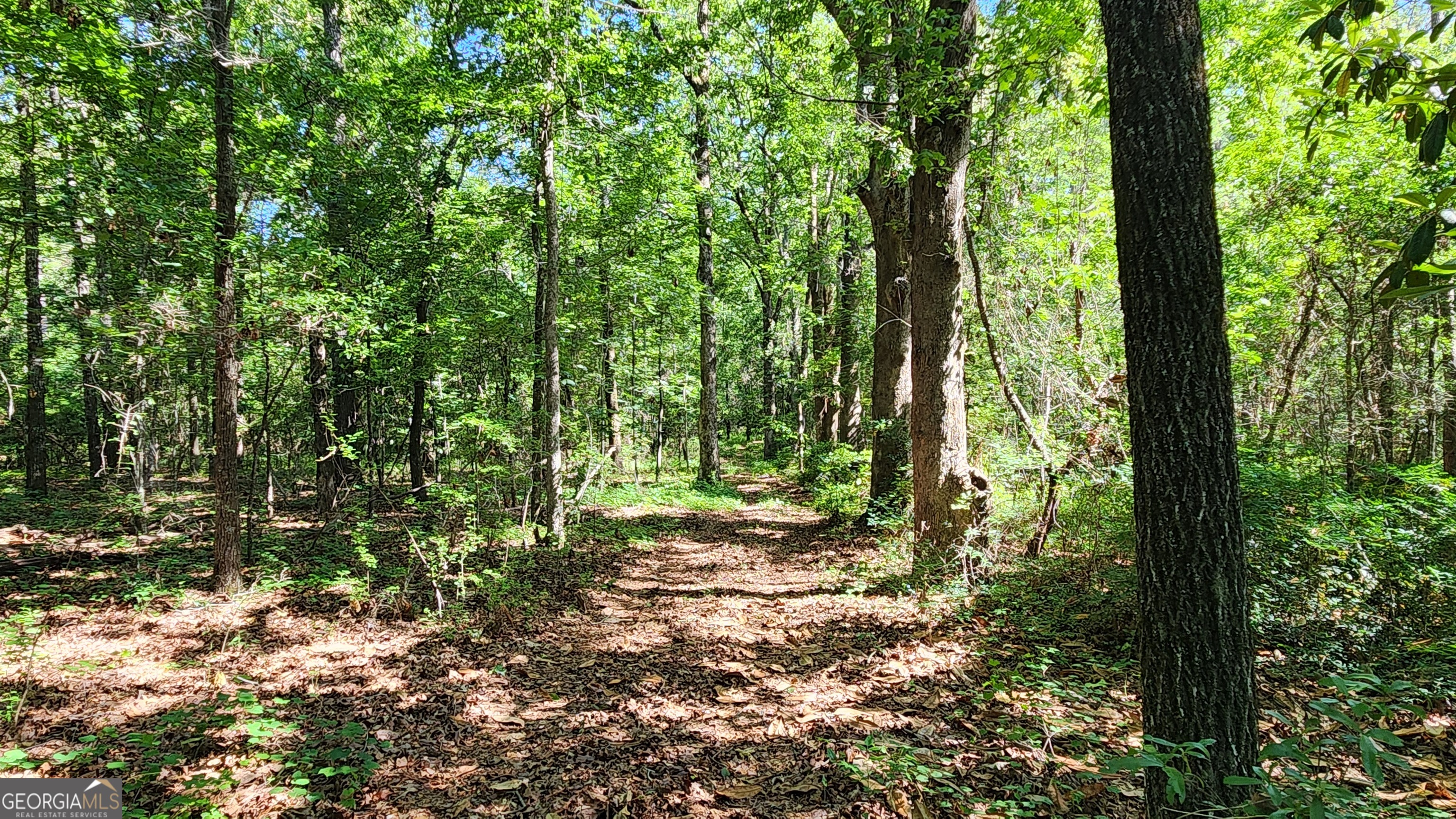 246 Melton Mill Road Dawson, GA 39842 - Photo 62 of 78