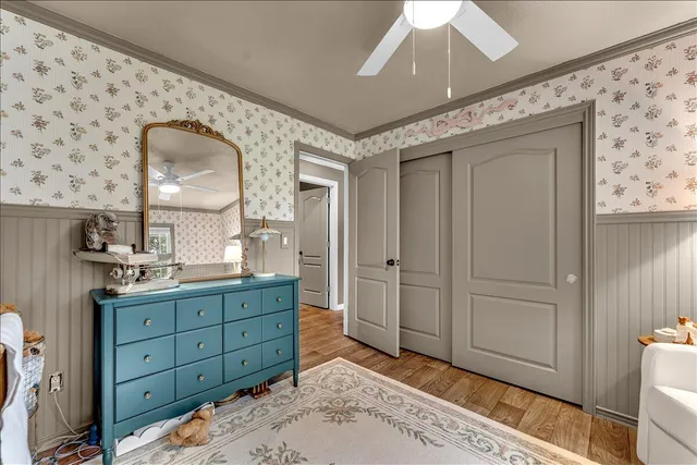 a view of a yard with a tree