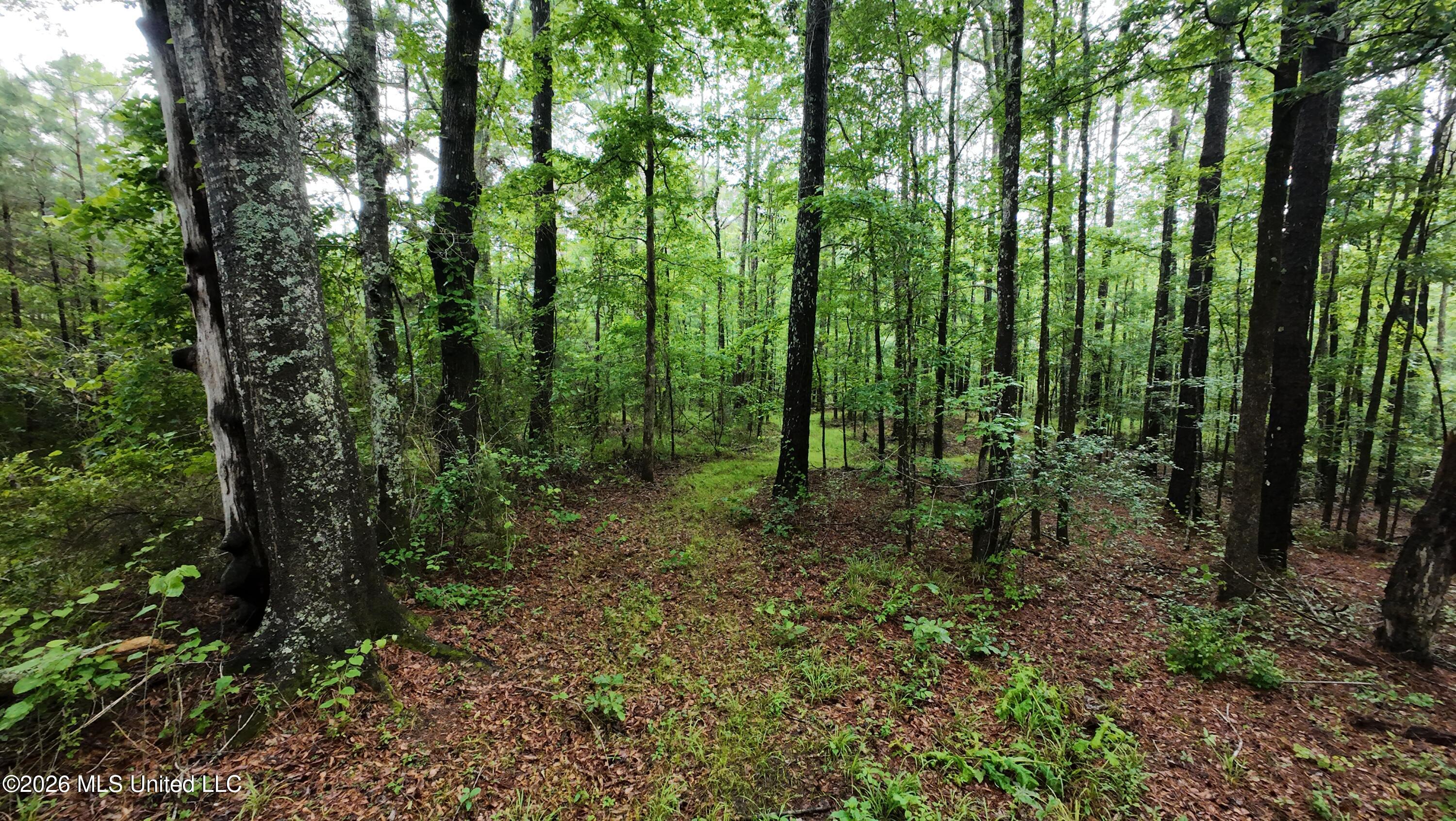 6936 Hillsboro-Ludlow Road Forest, MS 39074 - Photo 9 of 22 DJI_20260429130732_0133_D