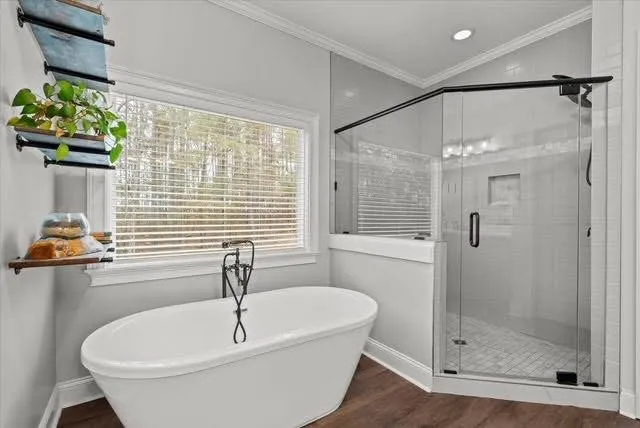 a view of a lake in middle of forest