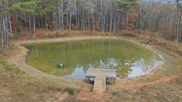 5320 North Helton Road Winston, GA 30187 - Photo 52 of 54 a view of a water pond with green yard