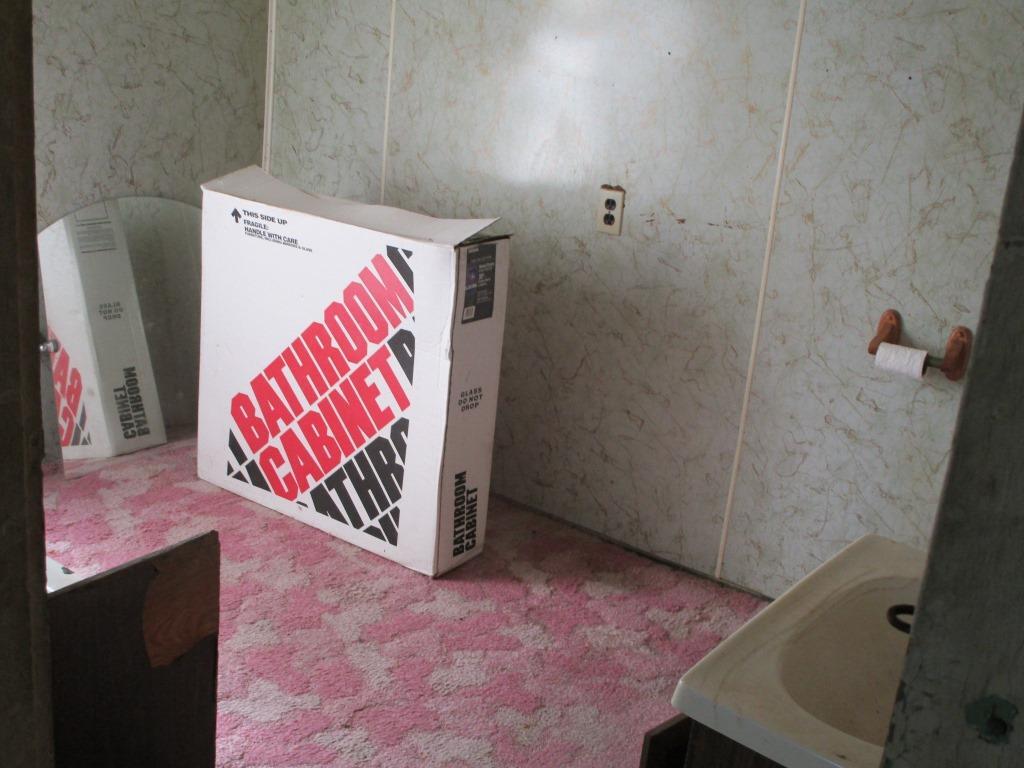 205 Center Street Waldron, MI 49288 - Photo 16 of 18 Bailey16