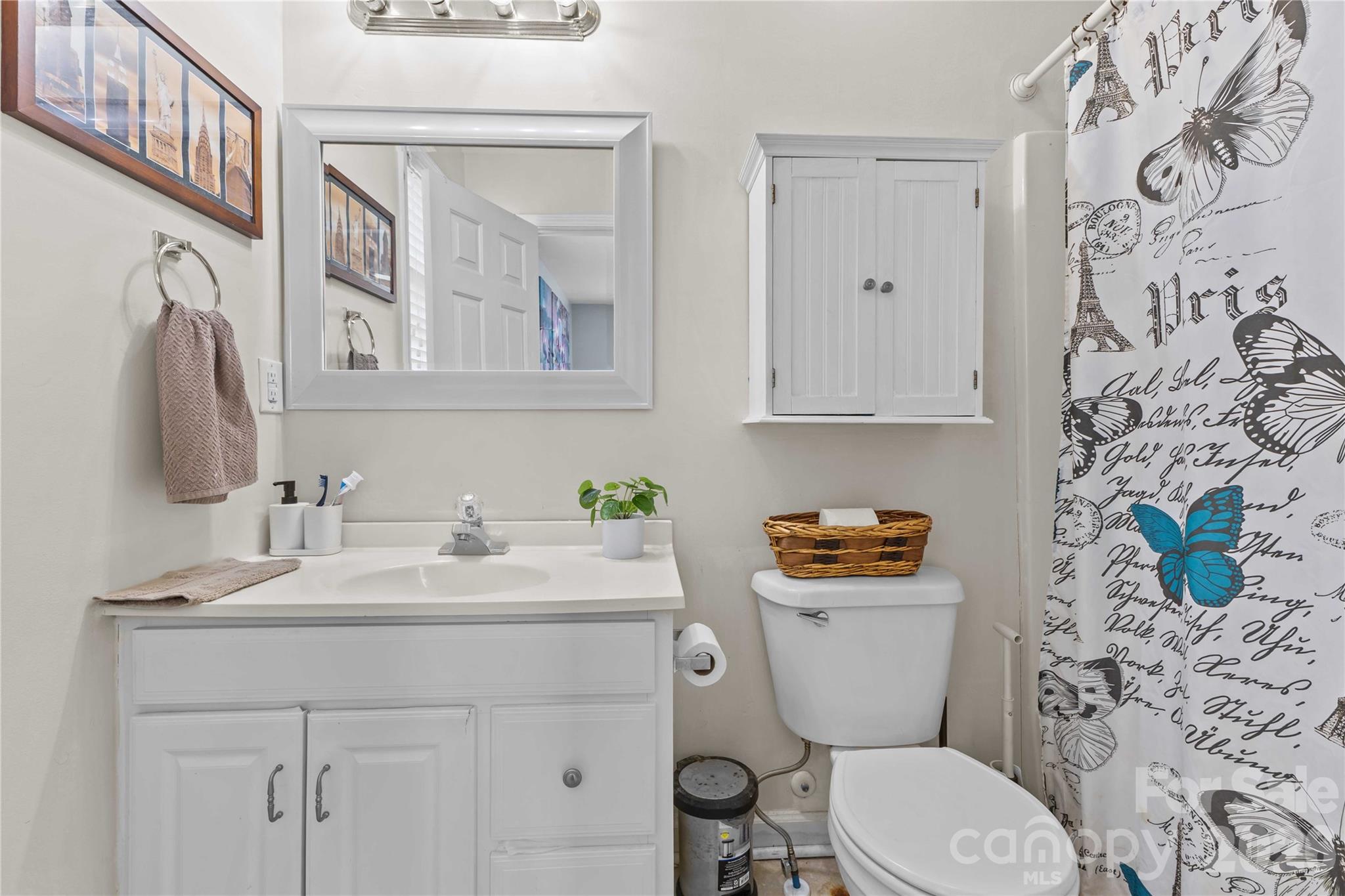 406 Calhoun Street Fort Mill, SC 29715 - Photo 29 of 44 a bathroom with a sink a toilet and a mirror