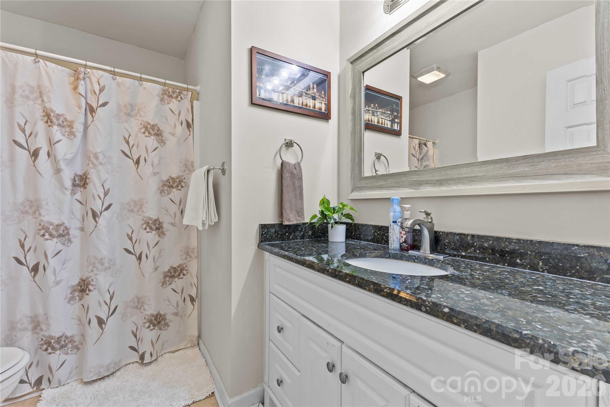 406 Calhoun Street Fort Mill, SC 29715 - Photo 33 of 44 a bathroom with a granite countertop sink and a mirror