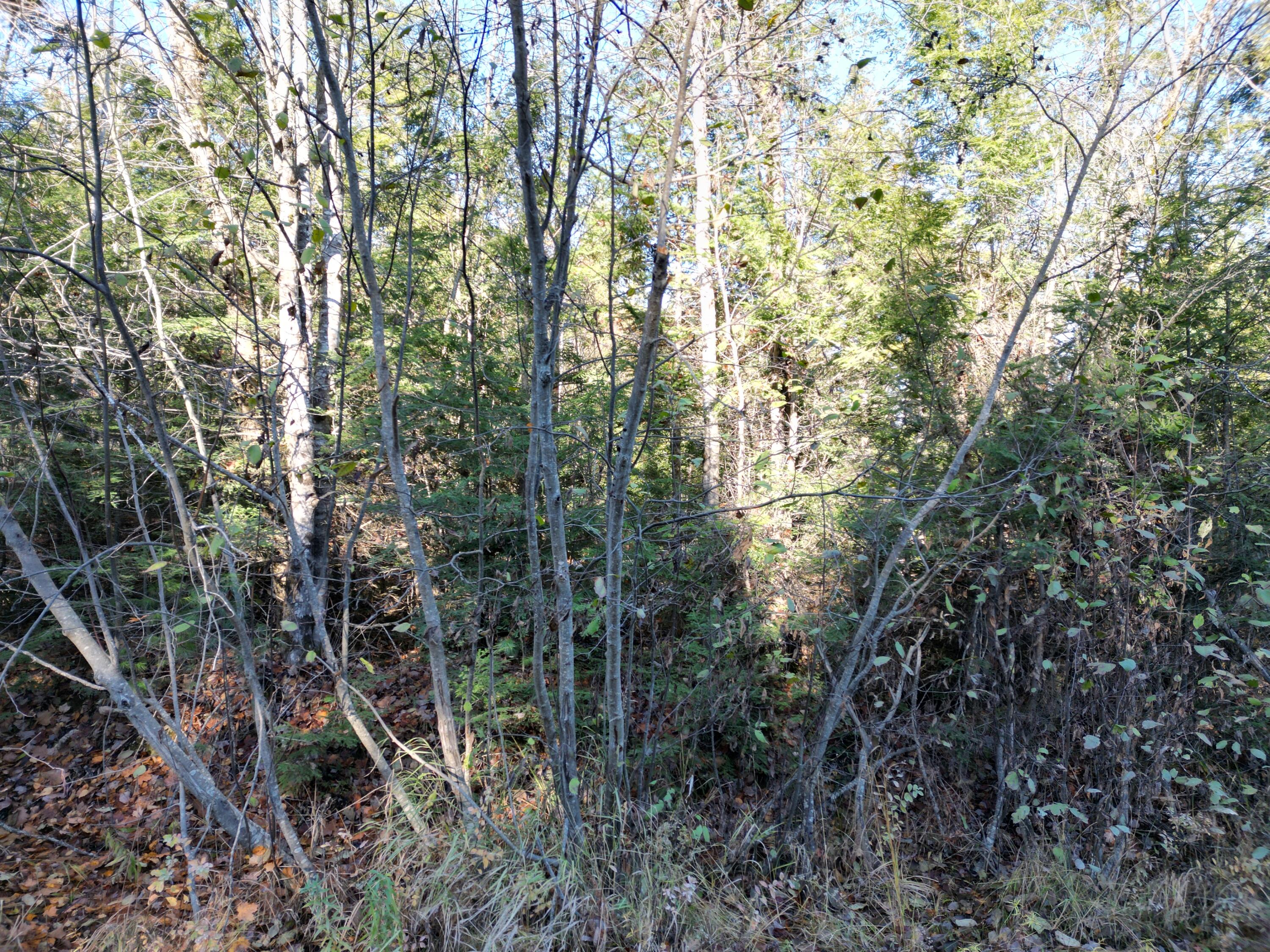 Lot 18-1 Mattamiscontis Road Howland, ME 04448 - Photo 5 of 16 DJI_0080