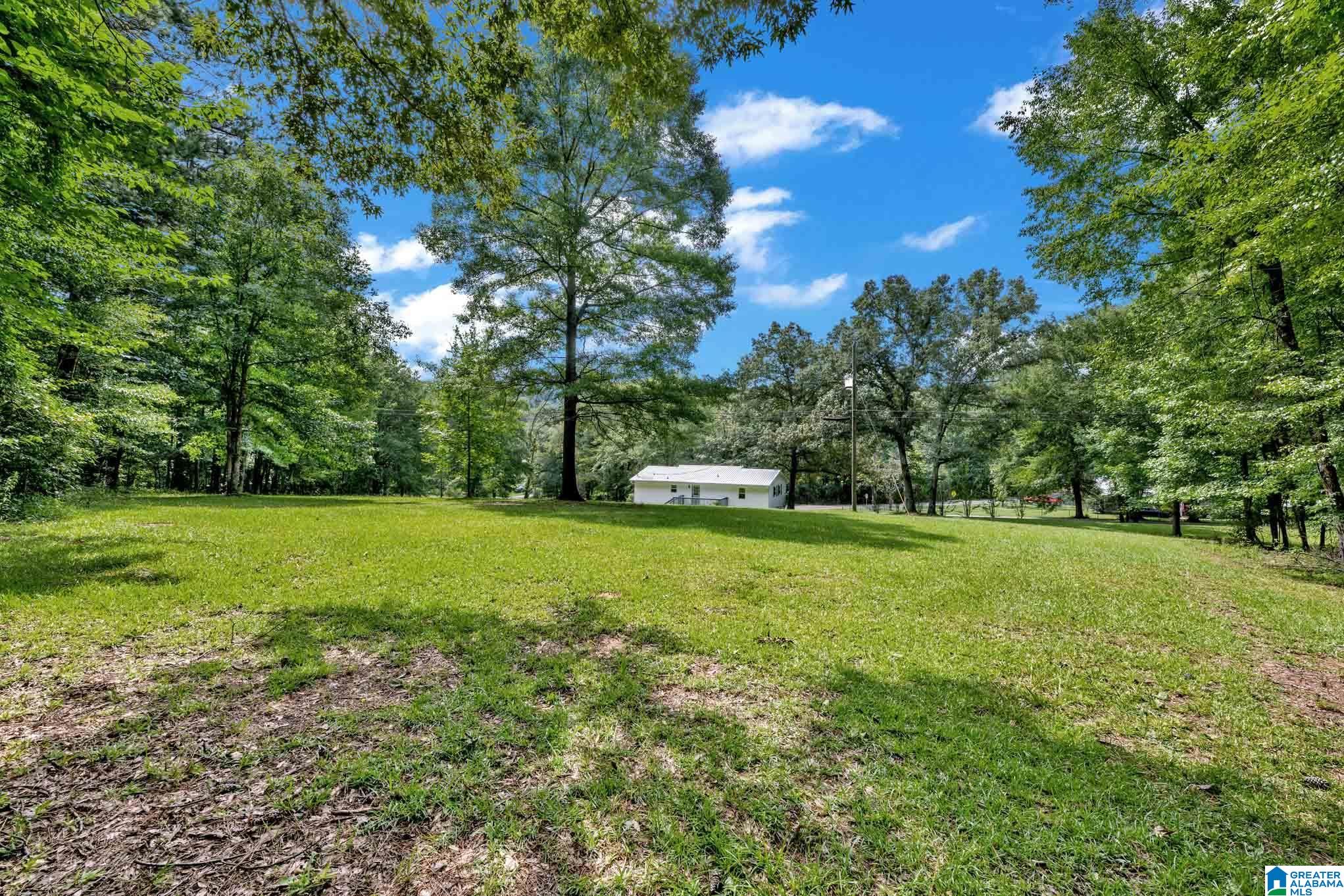 3287 Warrior Jasper Road Warrior, AL 35180 - Photo 21 of 26