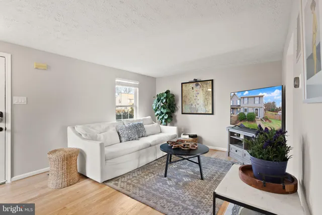 a living room with furniture potted plant and a window