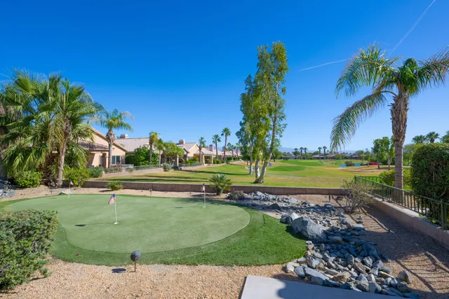 a view of a park with palm trees