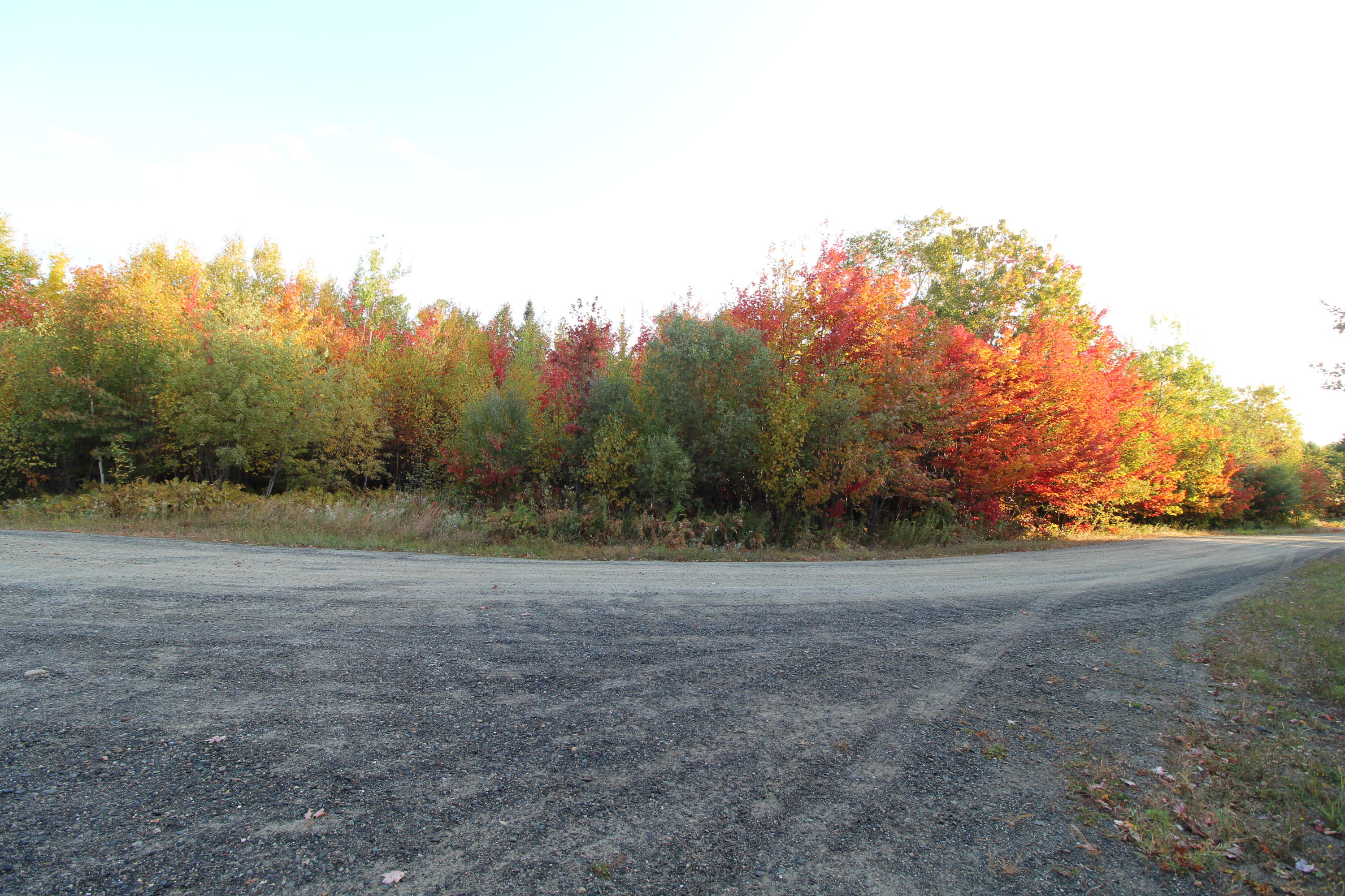 Lot 22-3 Heights Loop/haley Circle Road Rangeley, ME 04970 - Photo 3 of 4 IMG_2245