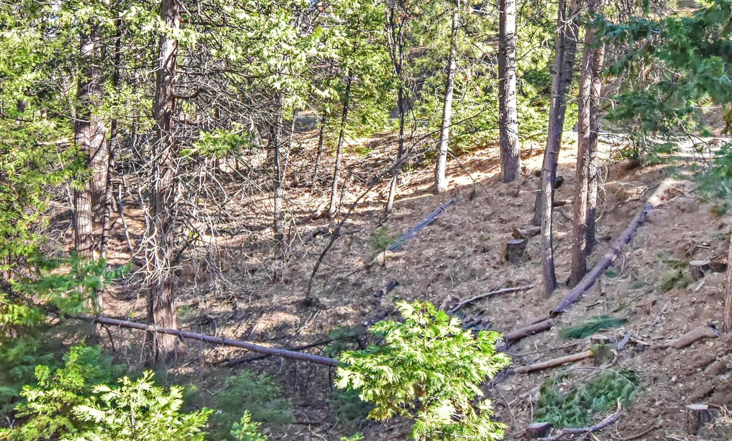 24184 Awahanee Road Sonora, CA 95370 - Photo 17 of 21 a backyard of a house with lots of green space