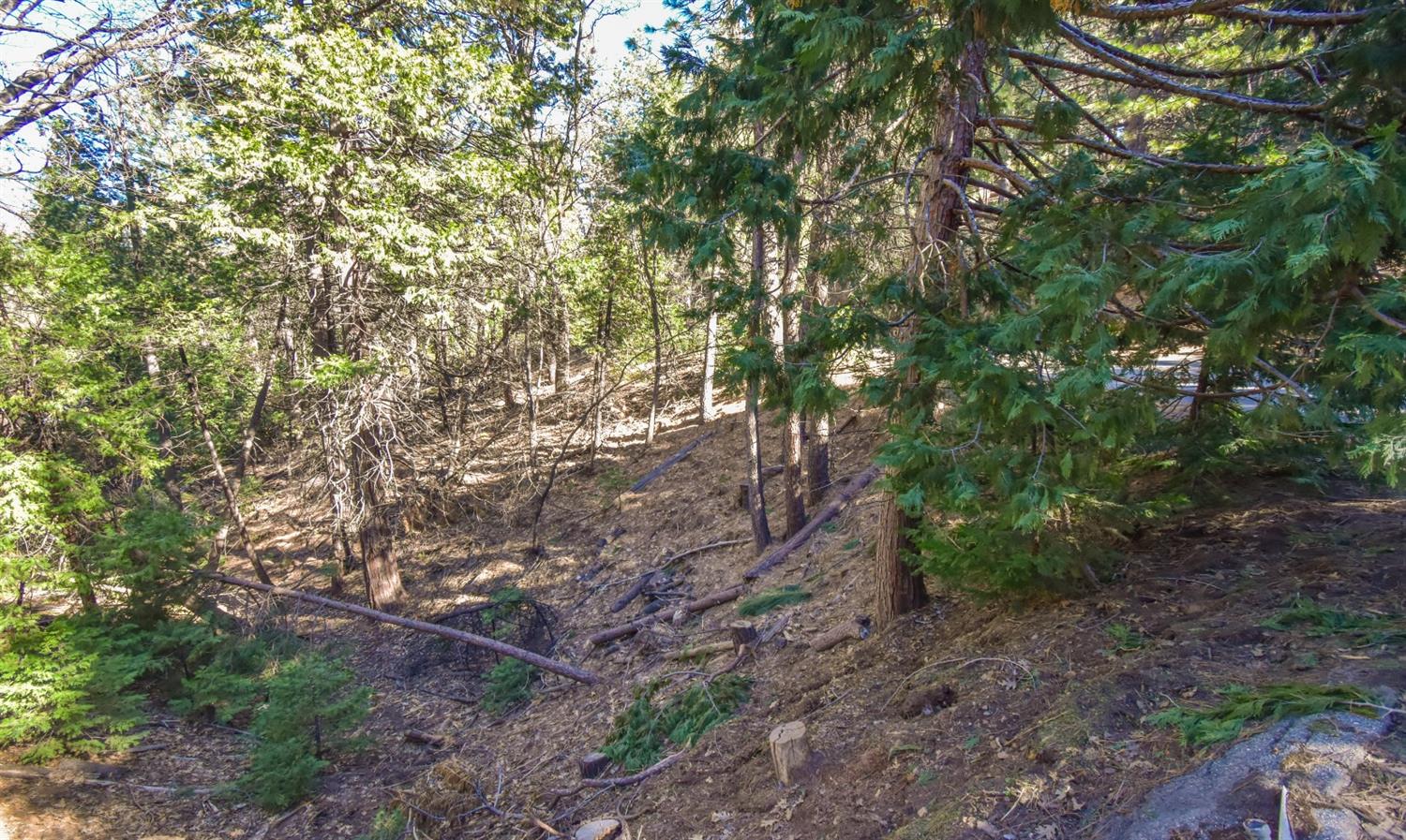 24184 Awahanee Road Sonora, CA 95370 - Photo 19 of 21 a backyard of a house with lots of trees