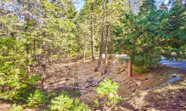 a backyard of a house with a yard