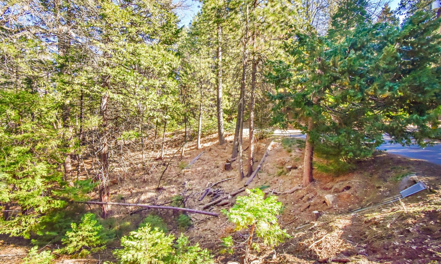 24184 Awahanee Road Sonora, CA 95370 - Photo 20 of 21 a backyard of a house with a yard