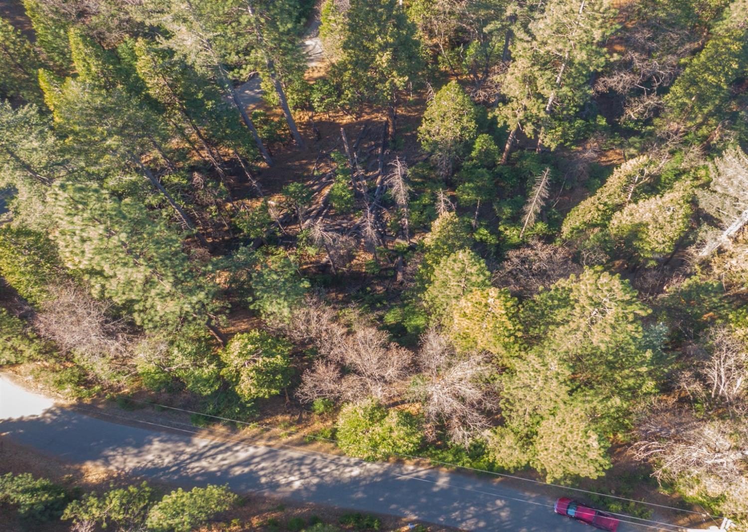 24184 Awahanee Road Sonora, CA 95370 - Photo 2 of 21 a backyard of a house