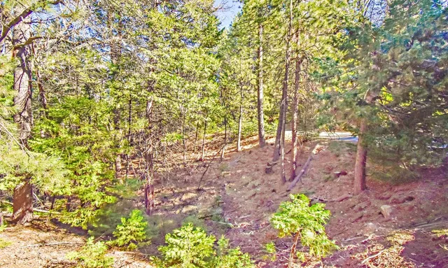 $19,000 | 24184 Awahanee Road, Sonora, CA 95370