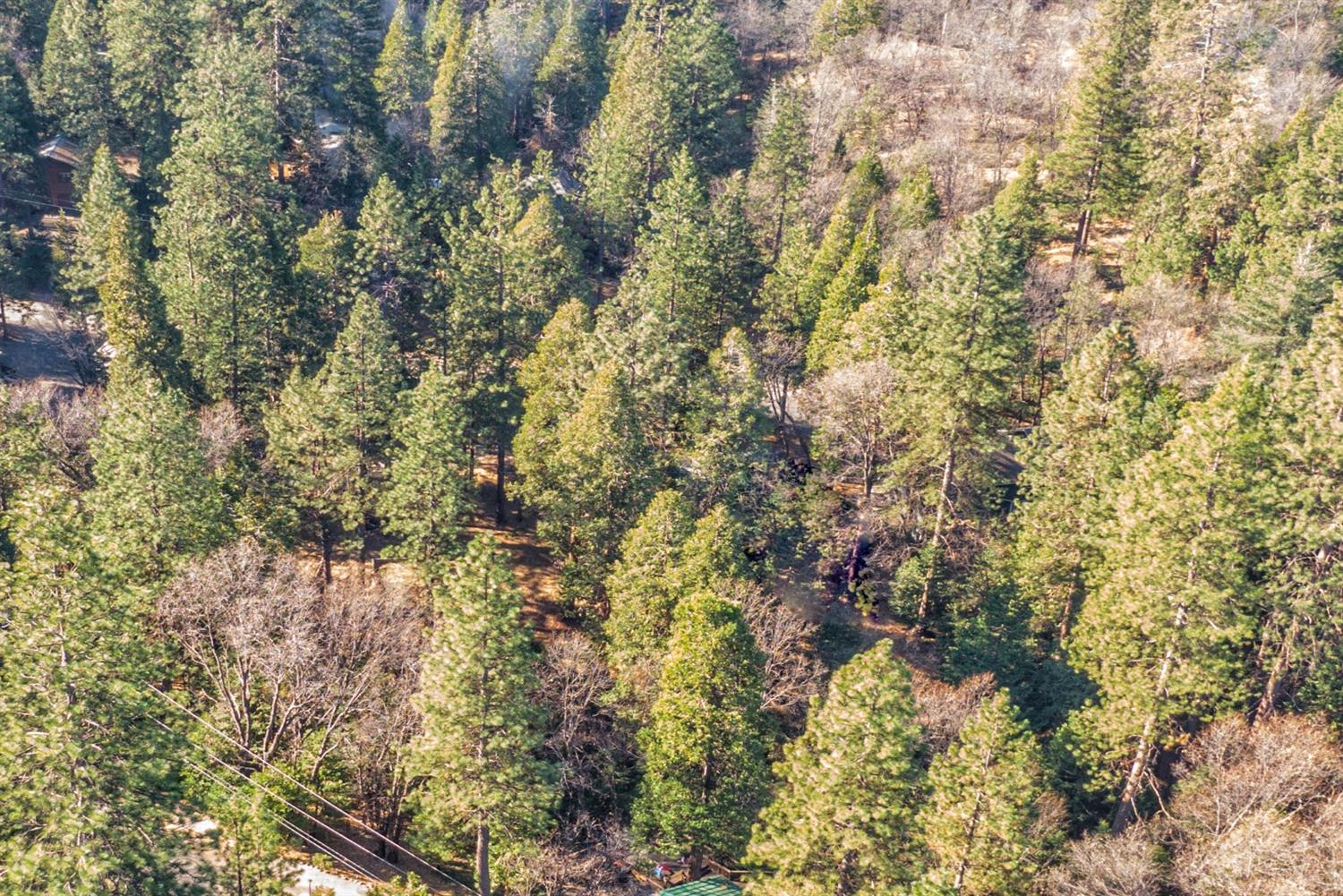 24184 Awahanee Road Sonora, CA 95370 - Photo 4 of 21 a view of a house with a lush green forest