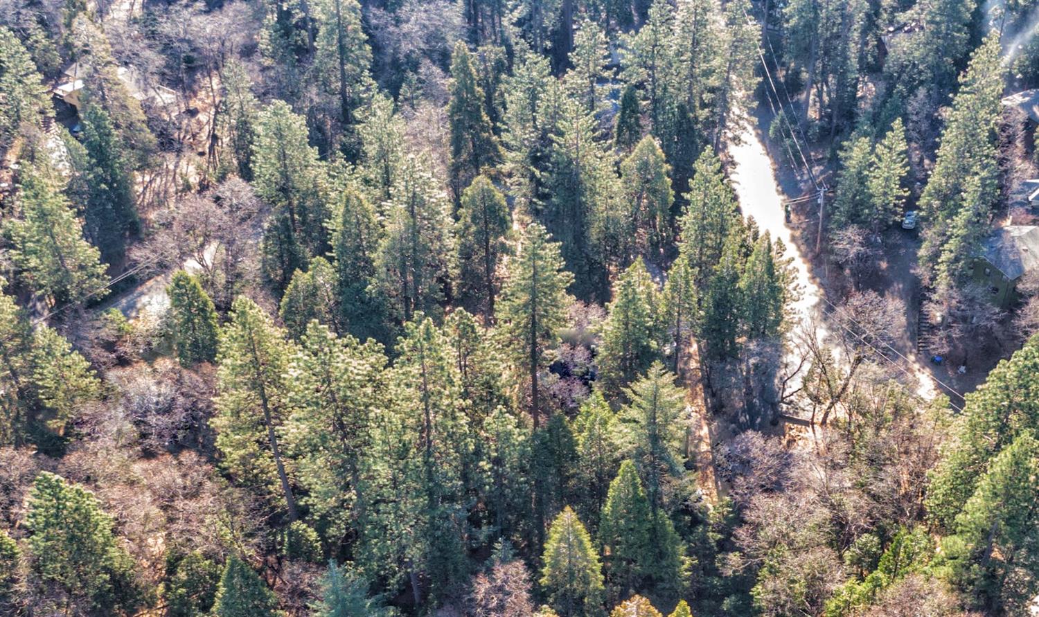 24184 Awahanee Road Sonora, CA 95370 - Photo 6 of 21 a view of a forest with a tree