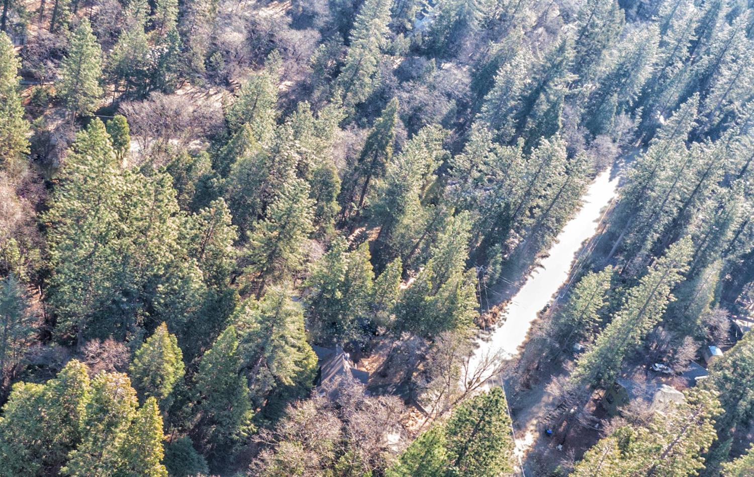24184 Awahanee Road Sonora, CA 95370 - Photo 7 of 21 a view of a forest with a tree