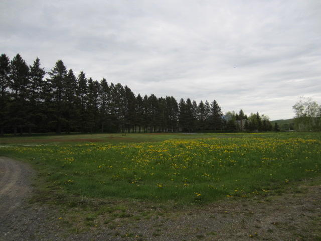 661 Lake Shore Road St. David, ME 04773 - Photo 4 of 15 IMG_5018