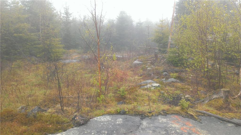 Lot 2 Destiny Bay Road Cutler, ME 04626 - Photo 17 of 20 Photo