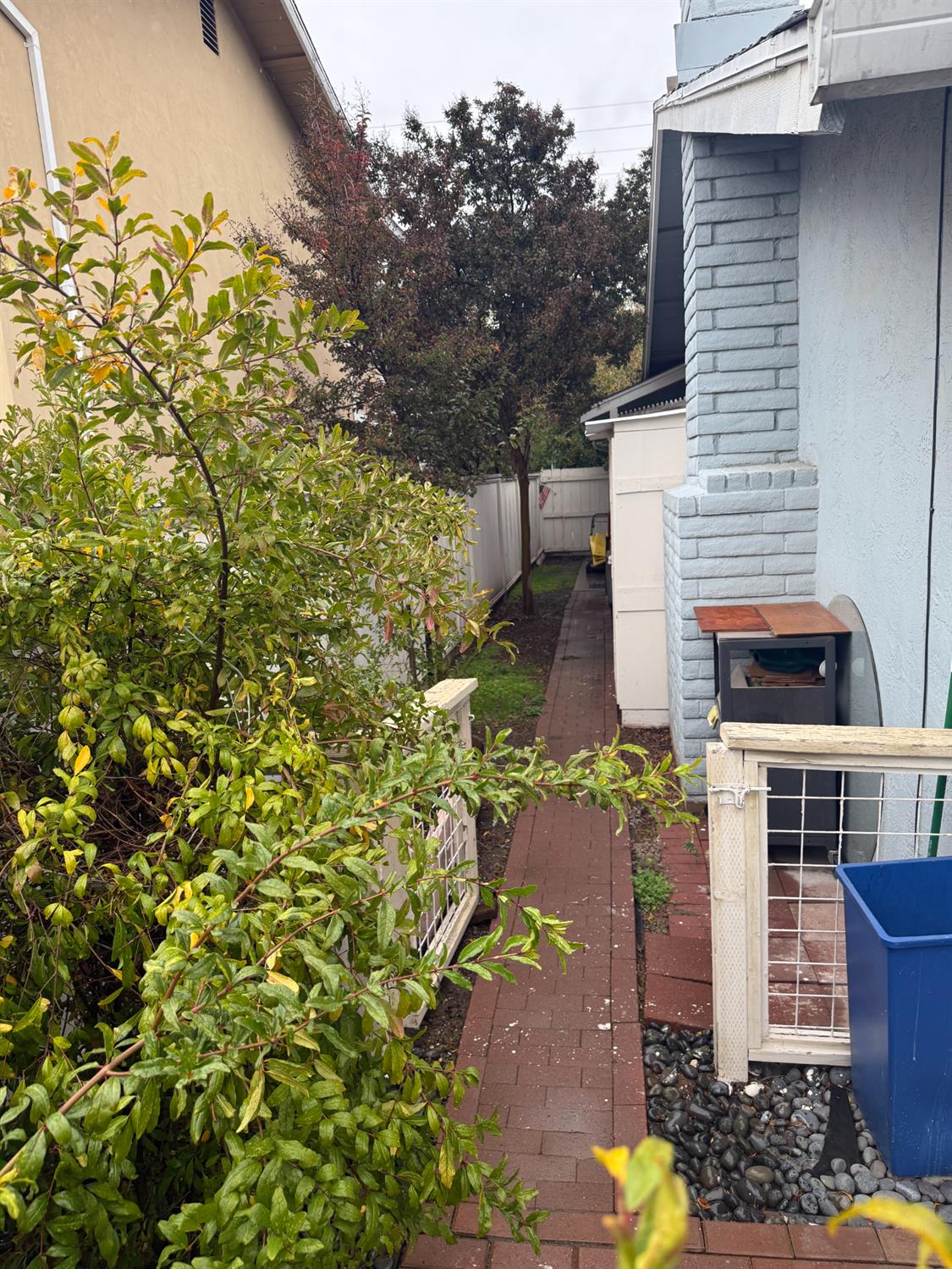1508 Mable Avenue Modesto, CA 95355 - Photo 25 of 25 a backyard of a house with lots of green space