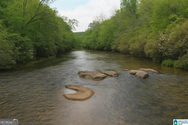1051 Pate Road, Unit TRACT 5 & 6 Ashland, AL 36255 - Photo 1 of 1