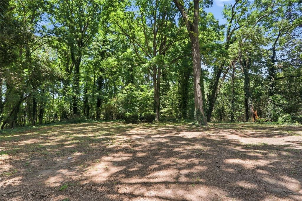 1733 Bethsaida Road Riverdale, GA 30296 - Photo 31 of 33